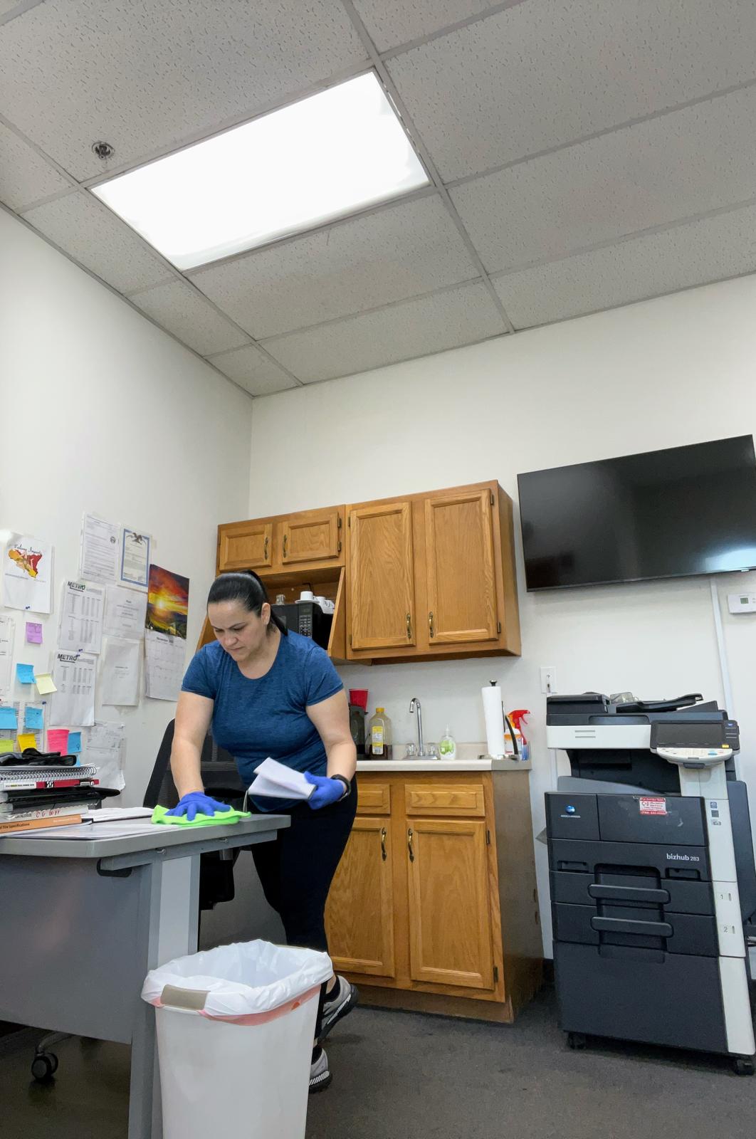 Professional cleaning services